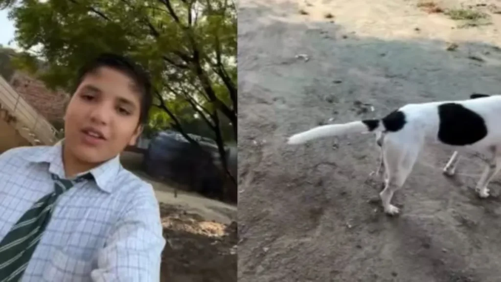 Dog Tail Straight Viral: 'कुत्ते की पूंछ कभी सीधी नहीं होती?' स्कूली बच्चे के इस वायरल वीडियो ने पुरानी कहावत को दी चुनौती!