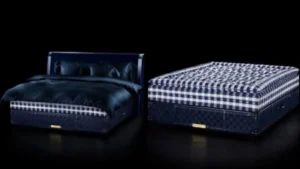 Expensive Mattress Hastens: 7.3 करोड़ रुपये का गद्दा! जानिए दुनिया के सबसे महंगे बेड 'ग्रैंड विविडस' की हैरान करने वाली खूबियां