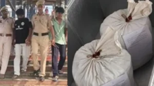 Faridabad News: फरीदाबाद में नशा तस्करों पर बड़ी कार्रवाई, 50 किलो गांजे के साथ पति-पत्नी समेत 3 गिरफ्तार