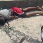 Hansi News: शराब पार्टी में बीयर की बोतल मारकर बॉक्सर की हत्या, ट्यूबवेल की छत पर मिला शव