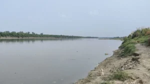 Haryana News: फिर उफान पर यमुना! फरीदाबाद के गांवों में 3 फीट चढ़ा पानी, मंडराया बाढ़ का संकट