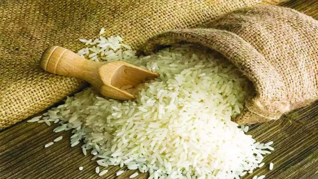 Haryana News: हरियाणा  हाइब्रिड धान और अन्न दर्पण ऐप ने बढ़ाई परेशानी, राइस मिलर्स ने रखी 17% नमी और बोनस भुगतान की शर्त