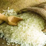 Haryana News: हरियाणा हाइब्रिड धान और अन्न दर्पण ऐप ने बढ़ाई परेशानी, राइस मिलर्स ने रखी 17% नमी और बोनस भुगतान की शर्त