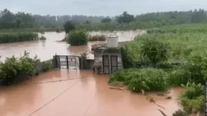 Haryana Rain Alert: हरियाणा में एक्टिव हुआ मानसून, मोरनी हिल्स में लैंडस्लाइड से टिक्कर ताल मार्ग बंद, फंसे कई टूरिस्ट