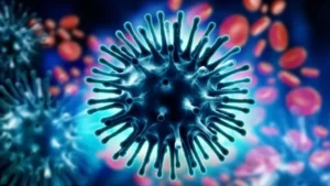 Haryana Swine Flu: हरियाणा में स्वाइन फ्लू का बड़ा विस्फोट, 24 घंटे में मिले 35 नए मरीज, हिसार और झज्जर में हड़कंप