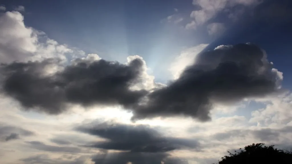 Haryana Weather: हरियाणा में आज 12 जिलों में झमाझम बारिश के आसार, जानें आपके शहर का हाल