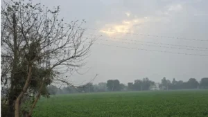 Haryana Weather: हरियाणा में मानसून की विदाई से बदला मौसम, दिन में धूप का सितम और रातों में ठंडक