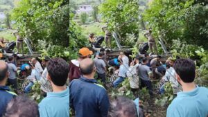 कुल्लू के आनी में दर्दनाक हादसा, शादी से लौट रहे 4 लोगों की मौत; एक गंभीर घायल