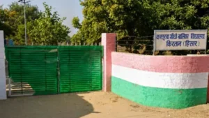 Hisar News: हिसार के कस्तूरबा गांधी स्कूल में शर्मनाक हरकत: दाखिला लेने आई छात्रा से बोली वार्डन- 'हाथ-पांव दबाने होंगे'