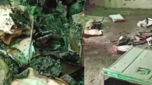 Kaithal Cooperative Society Record Burnt: कैथल के भूसला गांव की को-ऑपरेटिव सोसायटी का रिकॉर्ड जलाकर खाक, साजिश की आशंका