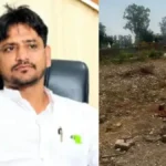 Kaithal News: कैथल पुलिस का बड़ा एक्शन, सरकारी जमीन से पेड़ काटने के आरोप में धनौरी का सरपंच गिरफ्तार