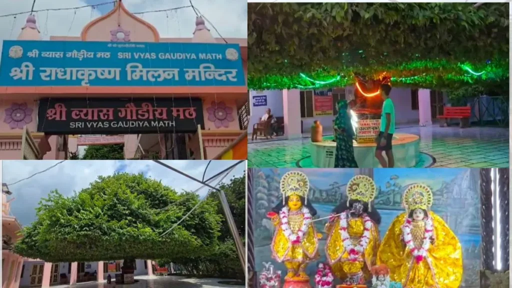 Kurukshetra News: जन्माष्टमी पर कुरुक्षेत्र का अलौकिक तमाल वृक्ष बना केंद्र, जानिए राधा-कृष्ण के दिव्य पुनर्मिलन की पौराणिक गाथा