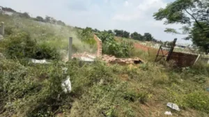 Mahendragarh : महेंद्रगढ़ में DTP विभाग का पीला पंजा, चामधेरा रोड पर अवैध कॉलोनी ध्वस्त