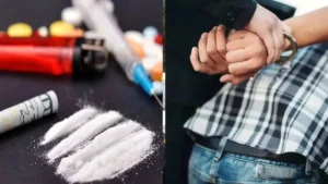 Mahendragarh : शहर थाना पुलिस का बड़ा एक्शन, कैटल फीड से भरे कैंटर से 3.30 किलो डोडा पोस्त बरामद