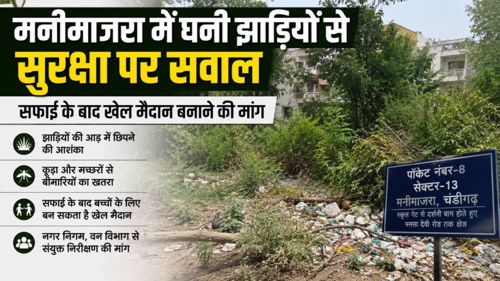 Manimajra News: मनीमाजरा में घनी झाड़ियों से सुरक्षा पर सवाल, सफाई के बाद खेल मैदान बनाने की मांग