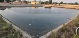 Mansa Drowning Incident : मानसा में वाटर वर्क्स के टैंक में डूबने से मां और दो मासूम बच्चों की मौत