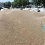 Nangal Chaudhary : अनाज मंडी में बाजरे की सरकारी खरीद जल्द शुरू करने की उठी मांग, व्यापार मंडल ने सरकार को चेताया