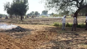 Nangal Chaudhary : अज्ञात कारणों से लगी आग में सैकड़ों मन कड़बी और बाजरा जलकर राख