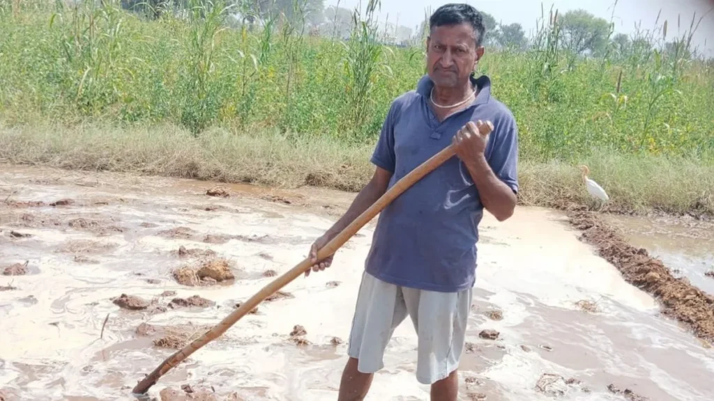 Nangal Chaudhary : बारिश न होने से बढ़ी किसानों की चिंता, नांगल चौधरी में सूखे खेतों के बीच सरसों की बिजाई बनी चुनौती