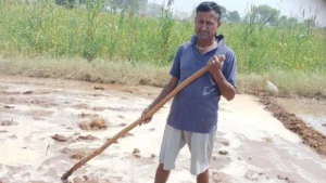 Nangal Chaudhary : बारिश न होने से बढ़ी किसानों की चिंता, नांगल चौधरी में सूखे खेतों के बीच सरसों की बिजाई बनी चुनौती