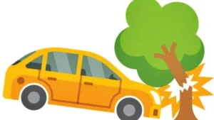 Narnaul : टला बड़ा हादसा, निजामपुर से नारनौल आ रही स्कॉर्पियो पेड़ से जा भिड़ी