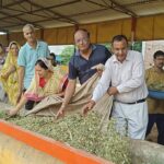 Narnaul: प्रधानमंत्री नरेंद्र मोदी के जन्मदिवस पर गौशाला में किया  गौ-पूजन, गौमाता को खिलाई सवामणी