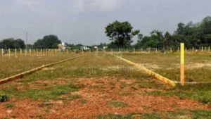 Palwal Land Scam: पंजाब-हरियाणा हाईकोर्ट के आदेश पर खुला 1,856 कनाल जमीन का घोटाला, मचा हड़कंप