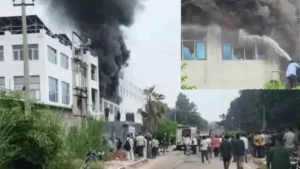 Panchkula News: पंचकूला के बरवाला में भीषण अग्निकांड, PCB चिप बनाने वाली ICL कंपनी के 2 प्लांट जलकर खाक