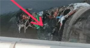 Pathankot Canal Suspicious Shell : पठानकोट में नहर के पास मिला मिसाइलनुमा संदिग्ध बम शैल, सुरक्षा एजेंसियां और सेना अलर्ट