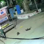Pehowa News: पुरानी रंजिश का खौफनाक बदला! पिहोवा में सोते हुए व्यक्ति के सिर पर पत्थर से किए कई वार