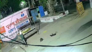 Pehowa News: पुरानी रंजिश का खौफनाक बदला! पिहोवा में सोते हुए व्यक्ति के सिर पर पत्थर से किए कई वार