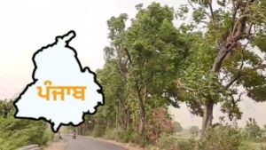 Punjab Chandigarh Weather Update : पंजाब-चंडीगढ़ में बदला मौसम का मिजाज, 5 जिलों में भारी बारिश का अनुमान