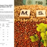 Rabi Crops MSP Hike: गेहूं पर MSP 25 रुपये प्रति क्विंटल जबकि कुसुम पर 675 रुपये बढ़े! जानें सरसों पर कितनी मिलेगी इस सीजन