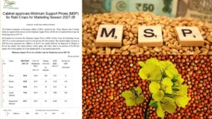 Rabi Crops MSP Hike: गेहूं पर MSP 25 रुपये प्रति क्विंटल जबकि कुसुम पर 675 रुपये बढ़े! जानें सरसों पर कितनी मिलेगी इस सीजन