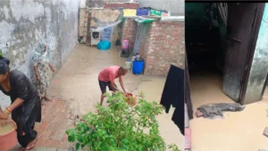 Rajound News: राजौंद में आफत बनकर बरसी बारिश, शहर हुआ पानी-पानी, घरों और दुकानों में घुसा गंदा पानी; जनजीवन ठप