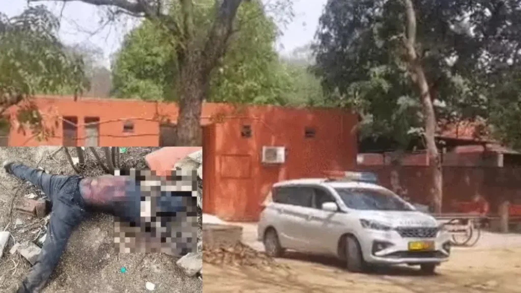 Rohtak Crime: रोहतक के खेड़ी साध गांव में मिला सड़ा-गला शव, दोनों हाथ-पैर गायब मिलने से फैली सनसनी