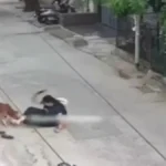 Rohtak Stray Dog Attack: रोहतक में आवारा कुत्ते का खौफनाक तांडव, युवती को सड़क पर गिराकर दोनों पैरों में काटा