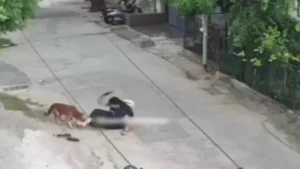 Rohtak Stray Dog Attack: रोहतक में आवारा कुत्ते का खौफनाक तांडव, युवती को सड़क पर गिराकर दोनों पैरों में काटा