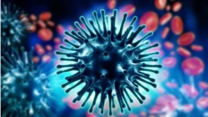 Swine Flu Hisar: स्वाइन फ्लू का बढ़ा खौफ, हिसार में एक और महिला की मौत, 4 नए मरीज मिलने से हड़कंप