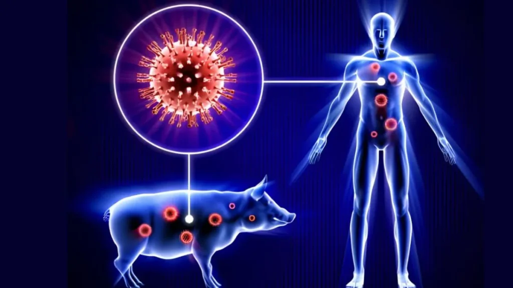 Swine flu Haryana: हरियाणा में स्वाइन फ्लू का बड़ा अलर्ट, आंकड़ा 400 के पार, फरीदाबाद में सबसे ज्यादा 81 मरीज