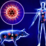 Swine flu Haryana: हरियाणा में स्वाइन फ्लू का बड़ा अलर्ट, आंकड़ा 400 के पार, फरीदाबाद में सबसे ज्यादा 81 मरीज
