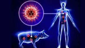Swine flu Haryana: हरियाणा में स्वाइन फ्लू का बड़ा अलर्ट, आंकड़ा 400 के पार, फरीदाबाद में सबसे ज्यादा 81 मरीज