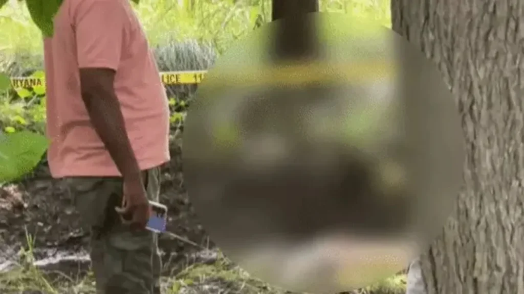 Yamunanagar News: यमुनानगर में हाईवे किनारे मिला युवती का अर्धनग्न शव, गले में मंगलसूत्र और माथे पर मिले चोट के निशान