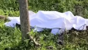 Yamunanagar Crime News: यमुनानगर में खेत में पड़ा मिला 50 साल के व्यक्ति का शव, फटी जेब से निकले 50 हजार कैश