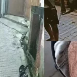 Yamunanagar News: छछरौली के बलाचौर में पिटबुल हमले से हड़कंप, महिला और उसके बेटे पर लोहे की रॉड से वार