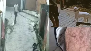 Yamunanagar News: छछरौली के बलाचौर में पिटबुल हमले से हड़कंप, महिला और उसके बेटे पर लोहे की रॉड से वार
