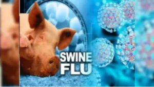 Yamunanagar Swine Flu: यमुनानगर में स्वाइन फ्लू से पहली मौत, PGI चंडीगढ़ में 66 वर्षीय बुजुर्ग ने तोड़ा दम