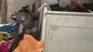 Yamunanagar Theft News: यमुनानगर में बीती रात दुस्साहसिक चोरी, घर में सोता रहा परिवार, 3 लाख के जेवर ले उड़े चोर
