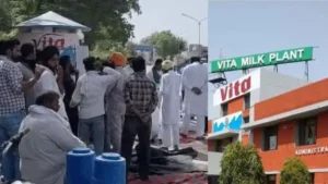 Haryana Milk Strike: हरियाणा में 'दूध बंद' का दूसरा दिन, सिरसा वीटा प्लांट पर किसानों का पक्का मोर्चा, 100 रुपये लीटर दूध की मांग