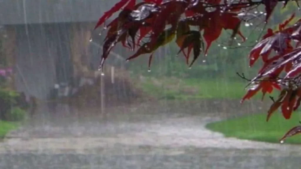 Haryana Weather Update: हरियाणा में अक्टूबर में भी गर्मी का प्रकोप, 3 दिन सूखा रहने के बाद इस दिन हो सकती है बारिश